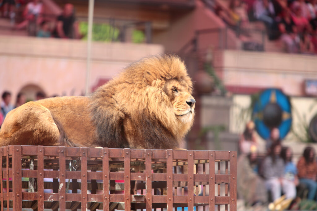 Le Grand Parc du Puy du Fou